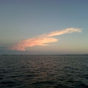 Meet your Posher, Tom